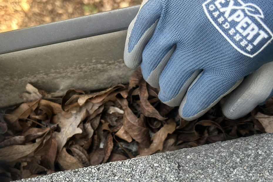 Gutter Cleaning Hanover