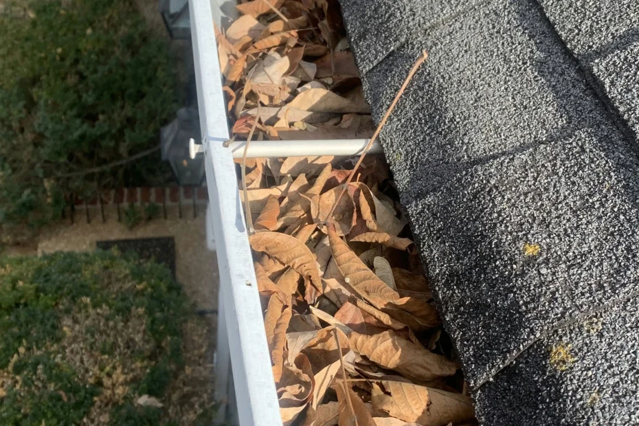 Gutter Cleaning Hanover